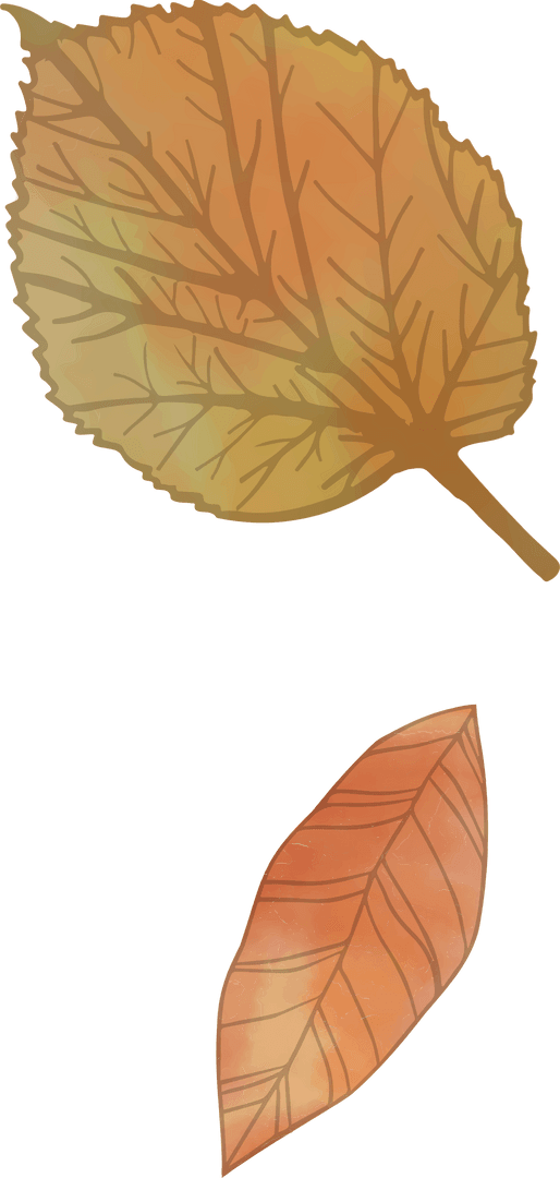 Transparent Autumn Leaves Floating in Flat Vector Style
