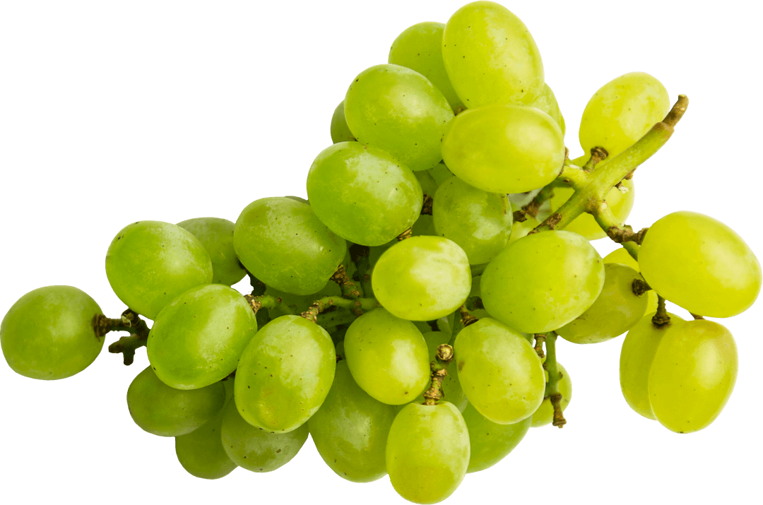 Green Grapes PNG with Transparent Background for Design Purpose