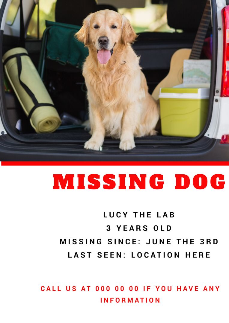 Missing Golden Retriever in Car Trunk Looking for Owner - Download Free Stock Templates Pikwizard.com