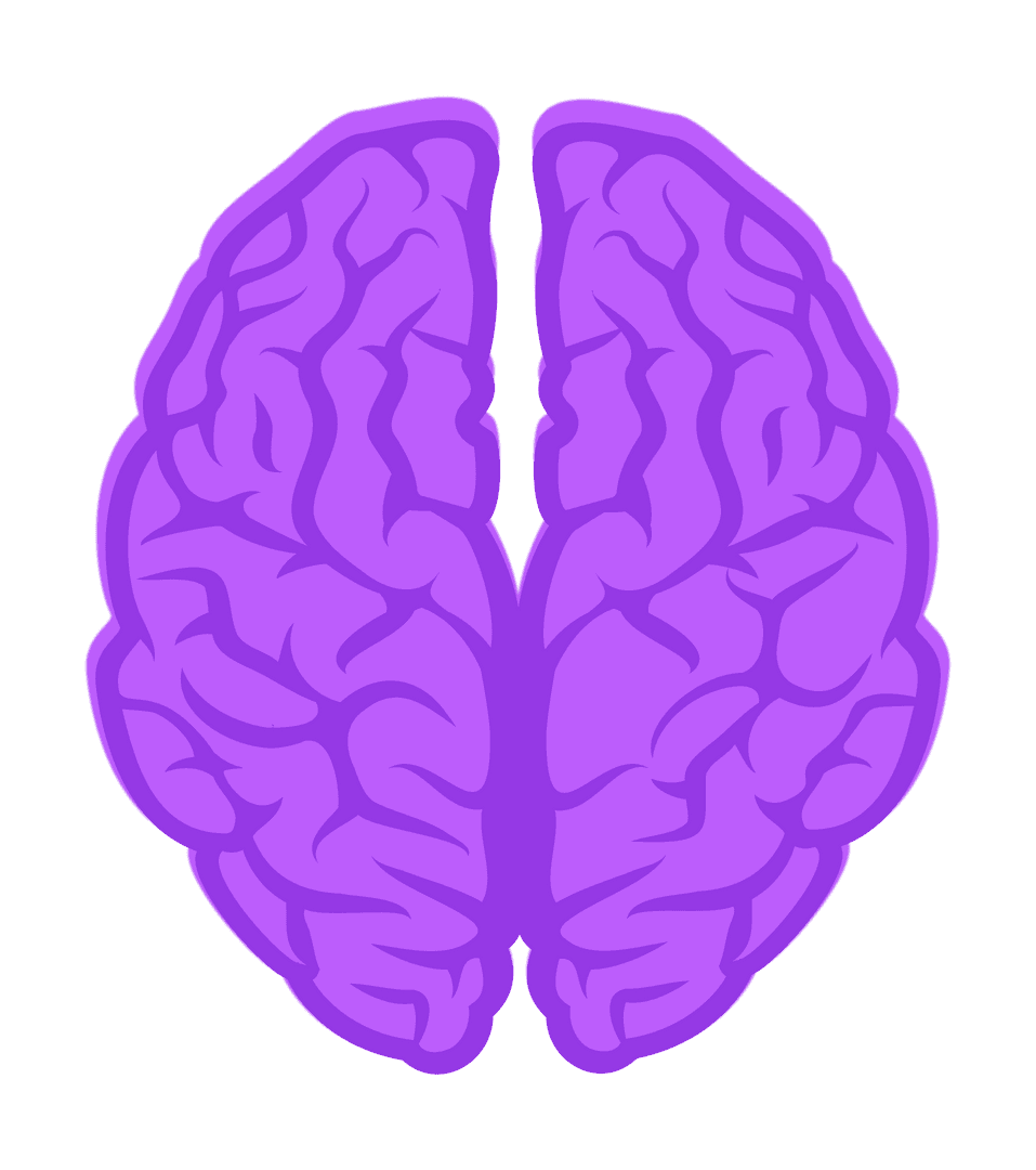 Stylized Purple Brain Illustration on Transparent Background