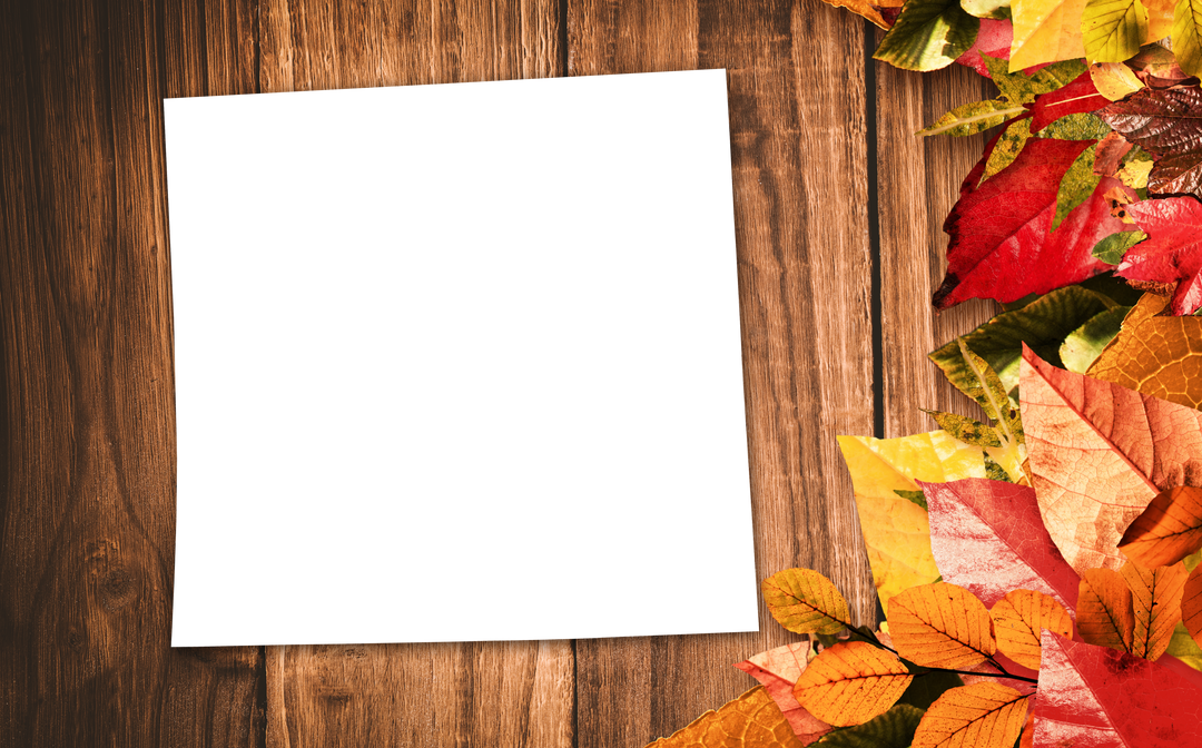 Transparent Black Frame Empty Paper Held by Nature Autumn Leaves Display - Download Free Stock Images Pikwizard.com