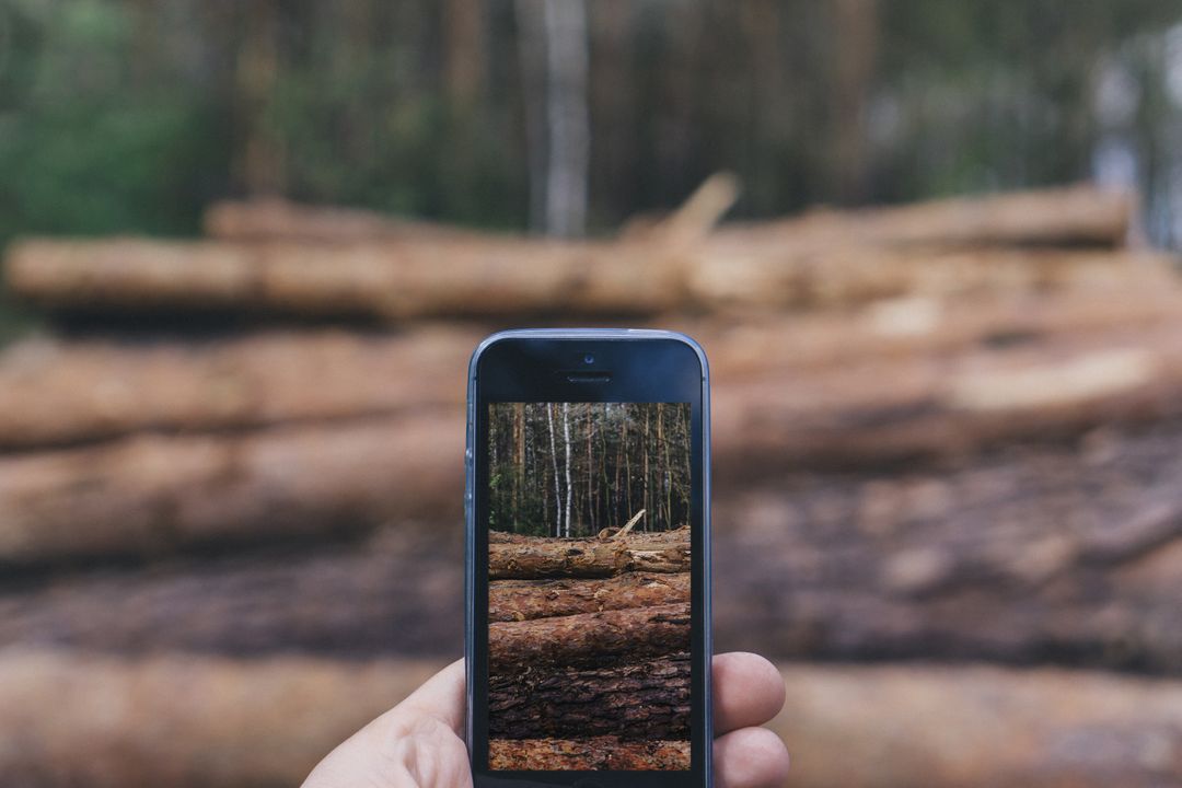 Hand Holding Smartphone Photographing Logs in Forest - Free Images, Stock Photos and Pictures on Pikwizard.com