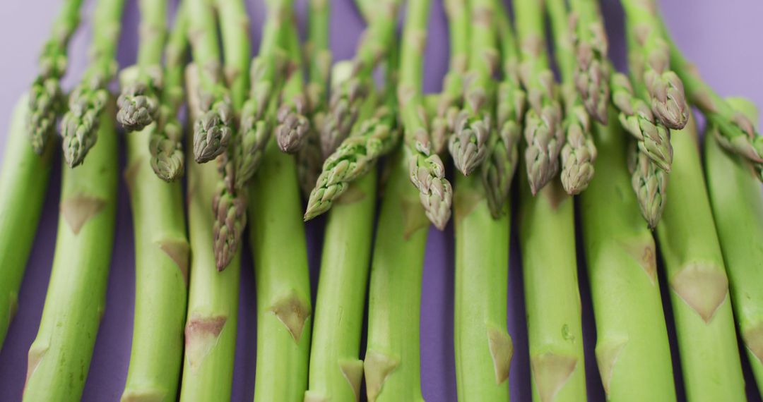 Image of close up of fresh asparagus over lilac background - Free Images, Stock Photos and Pictures on Pikwizard.com