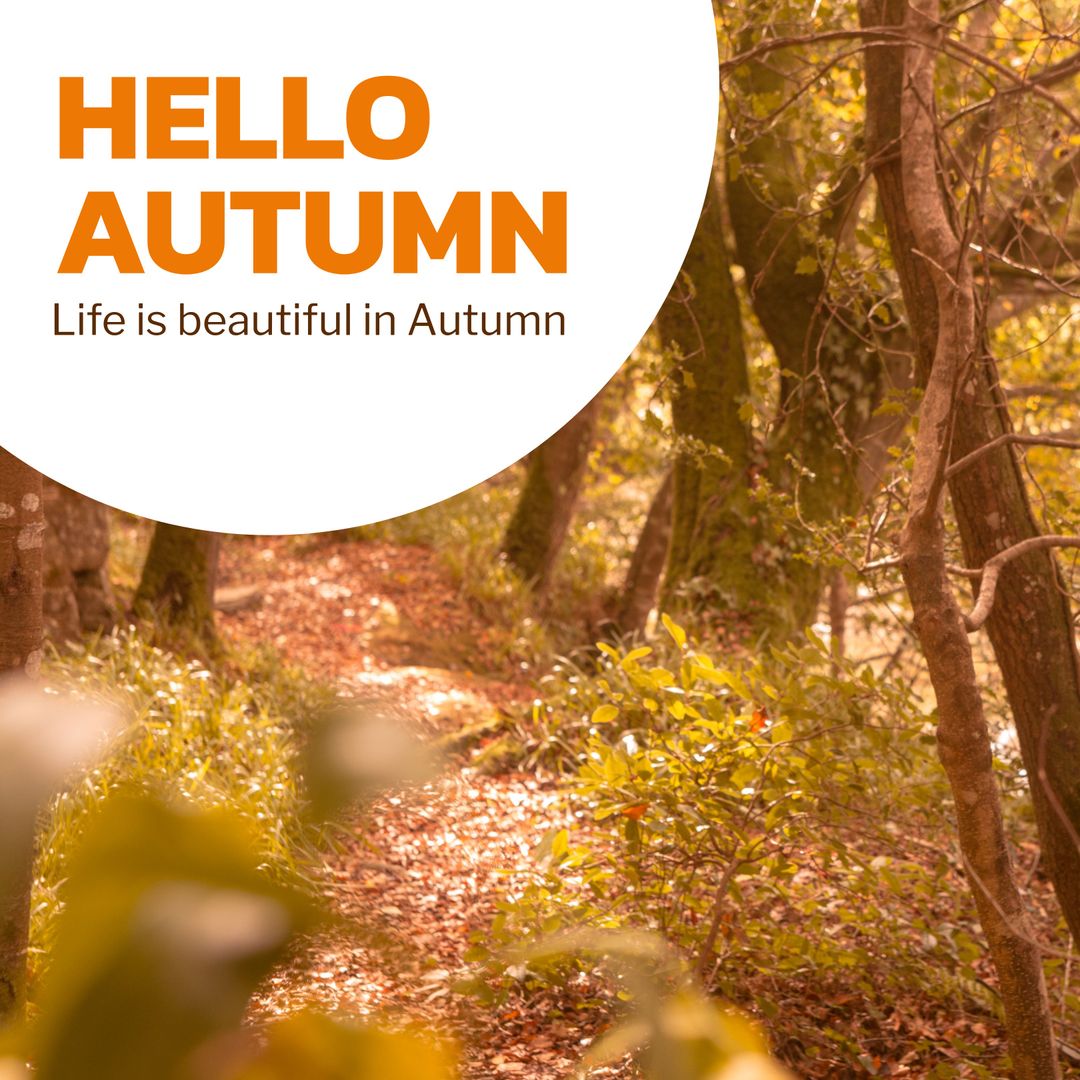 Scenic Autumn Pathway with Inspirational Text Overlay