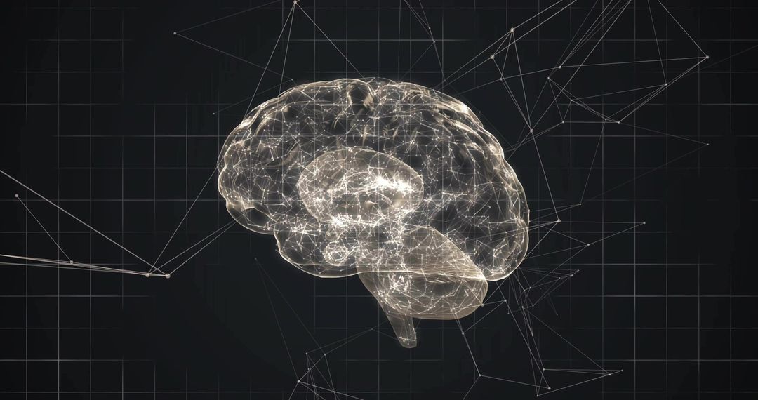 Holographic Brain Model with Neural Network Connections