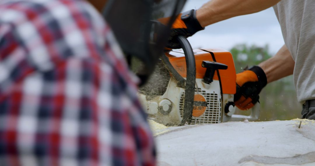 Two Lumberjacks Cutting Wood with Chainsaw in Forest - Free Images, Stock Photos and Pictures on Pikwizard.com