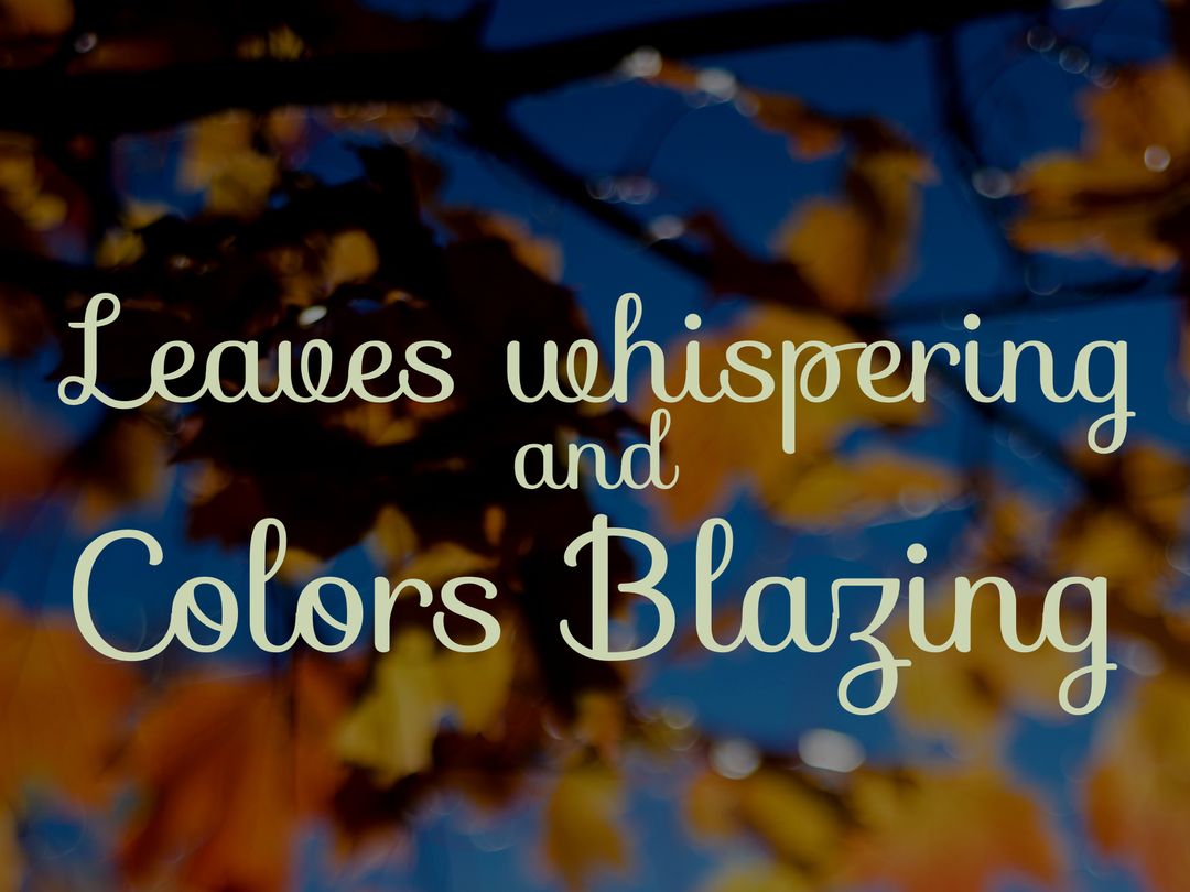 Autumn Leaves and Vibrant Colors in Sunlight - Download Free Stock Templates Pikwizard.com