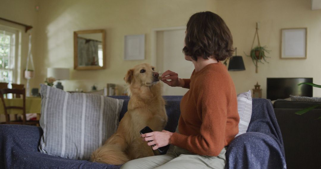 Woman Giving Treat to Dog in Cozy Living Room - Free Images, Stock Photos and Pictures on Pikwizard.com