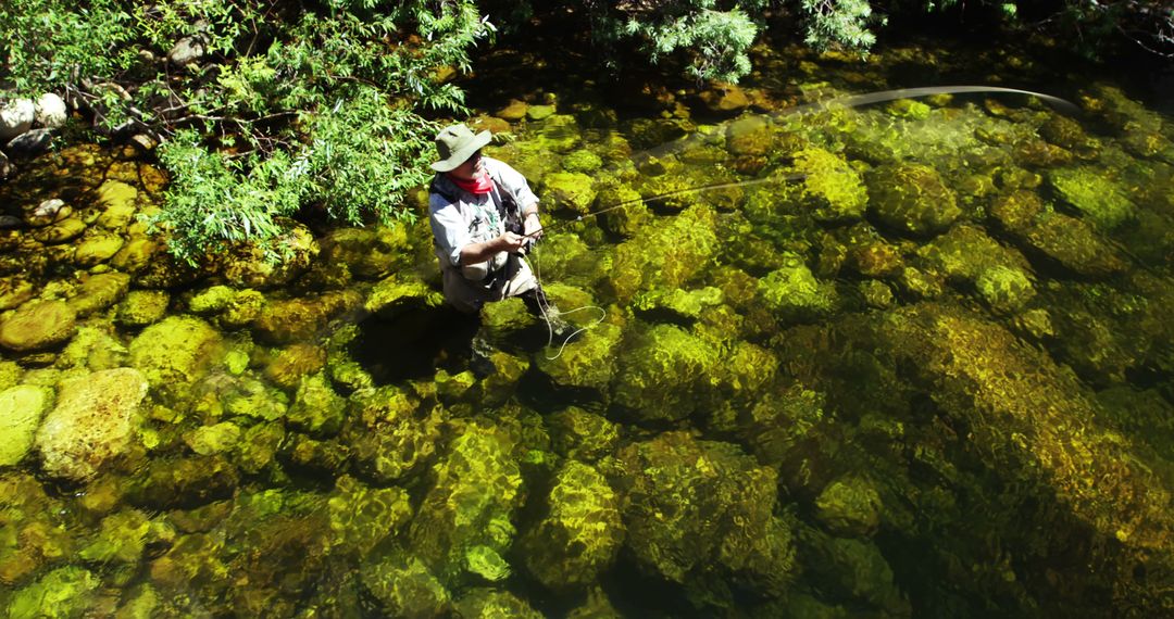 Man Fly Fishing in Crystal Clear Stream Surrounded by Greenery - Free Images, Stock Photos and Pictures on Pikwizard.com