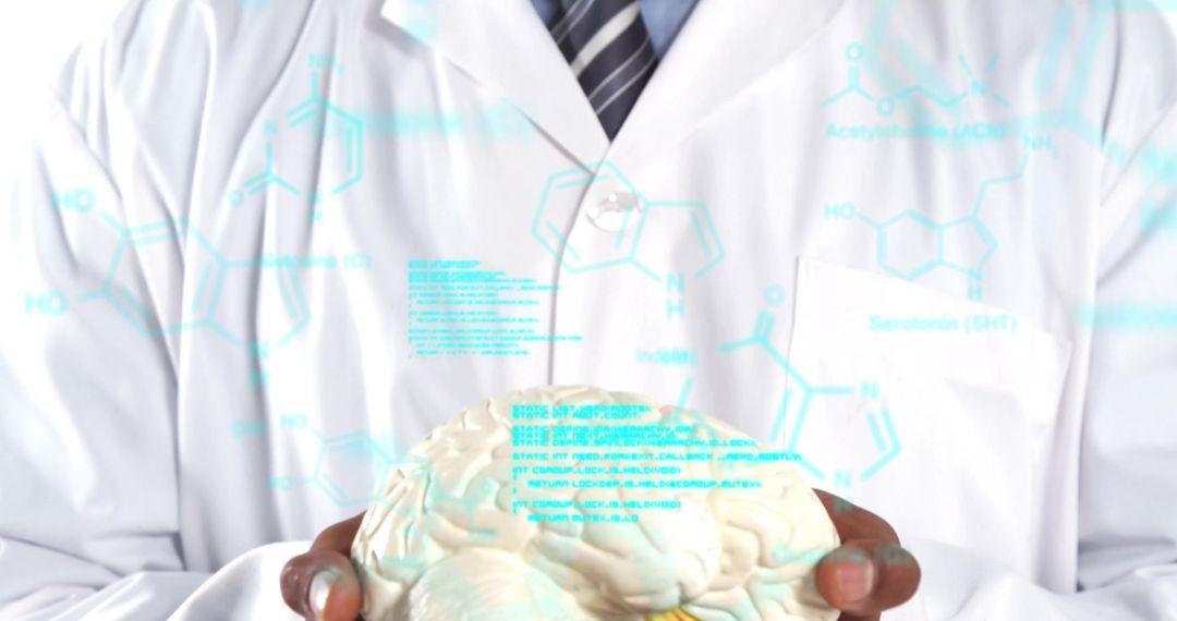 Scientist Holding Brain Model with Molecular Diagrams