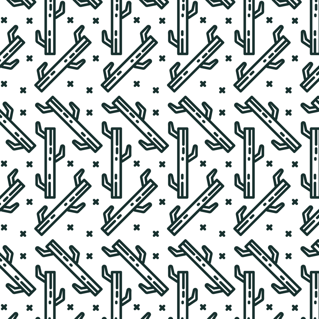 Seamless cactus pattern on transparent background