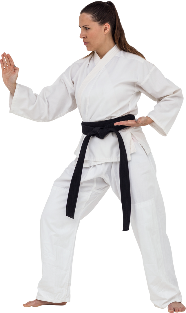 Transparent Karate Stance Intensity with Female Fighter - Download Free Stock Images Pikwizard.com