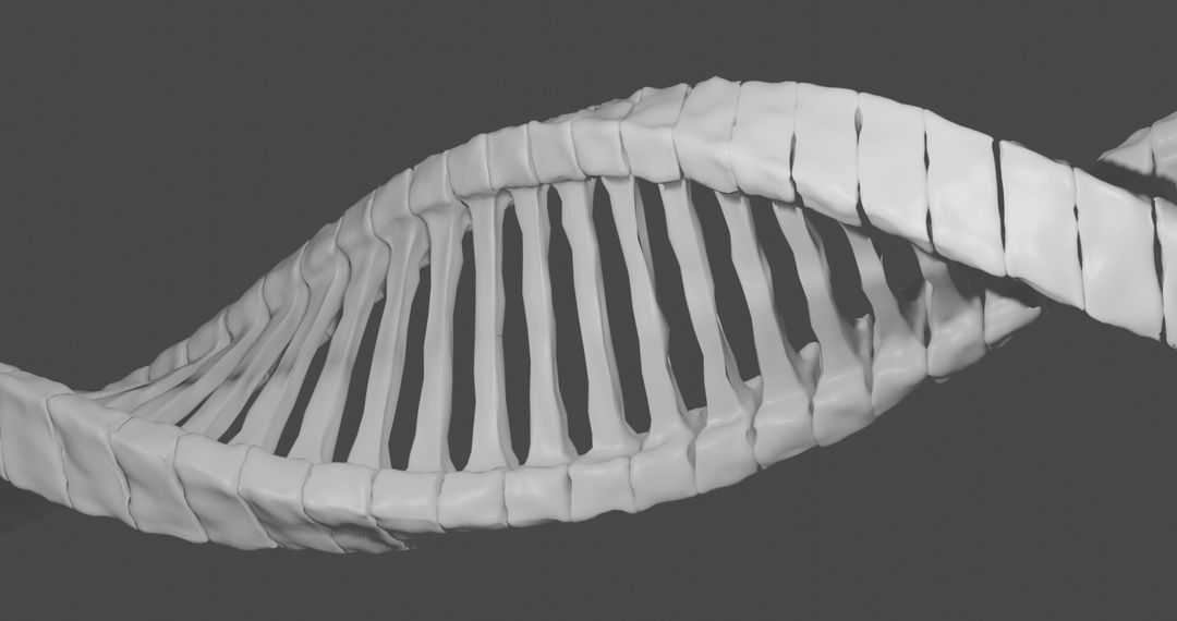 3D DNA Strand Visualization in Motion for Scientific Research