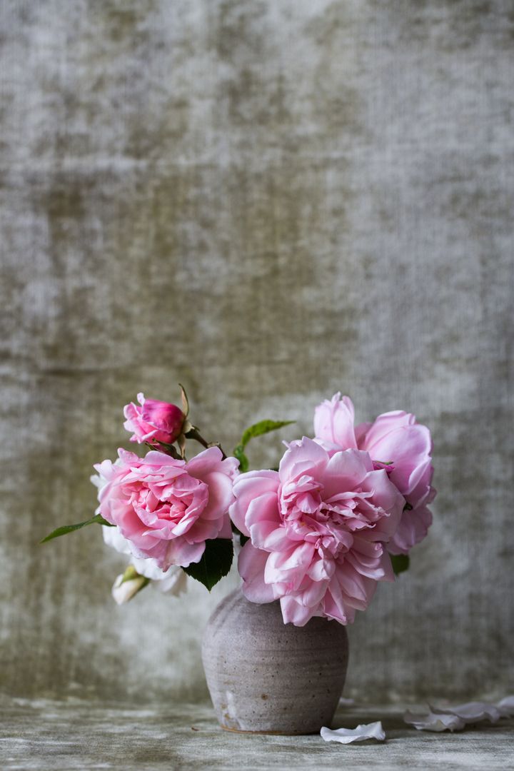 Pink Peonies in Ceramic Vase on Rustic Background - Free Images, Stock Photos and Pictures on Pikwizard.com