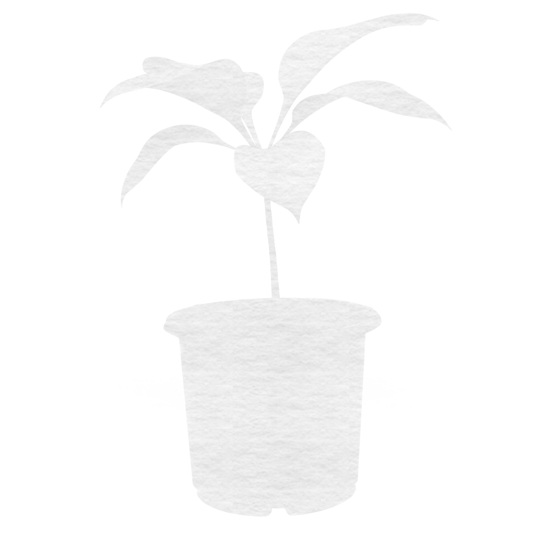 Transparent Vector Silhouette of a Potted Plant with Leaves - Download Free Stock Images Pikwizard.com