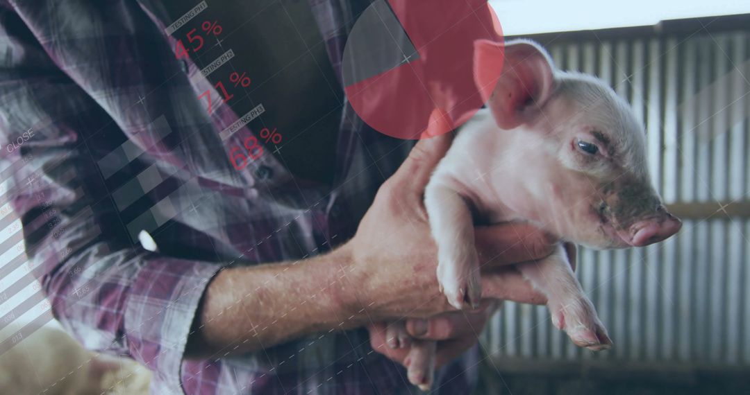 Farm Worker Holding Piglet Overlaid with Digital Data Charts