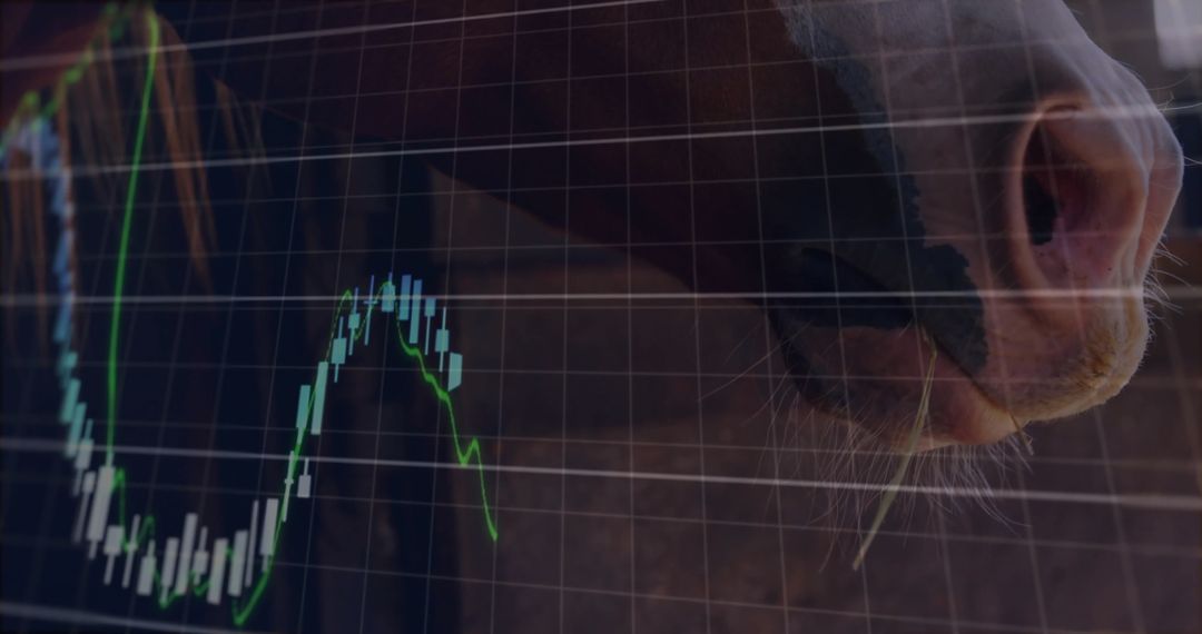 Horse with Stock Market Chart Overlay in Financial Concept