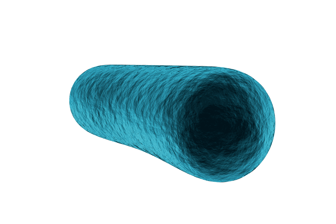 Transparent Blue Bacteria Cellular Structure Illustration