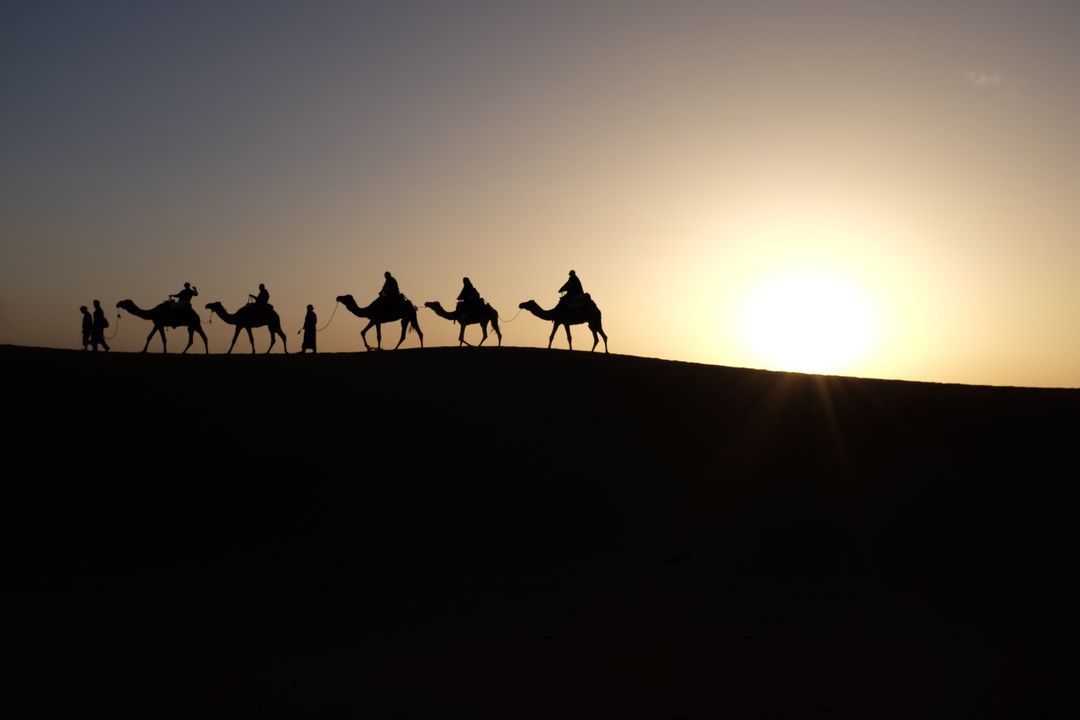 Silhouette of Men Riding Camels on Desert during Sunset - Free Images, Stock Photos and Pictures on Pikwizard.com