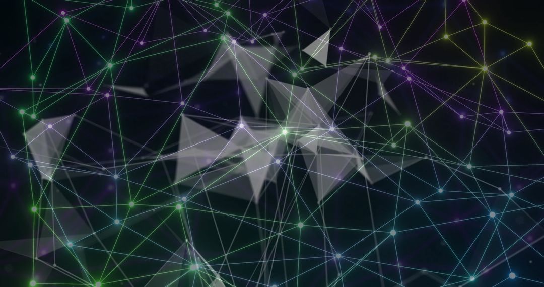 Dynamic Digital Network with Geometric Lines and Points