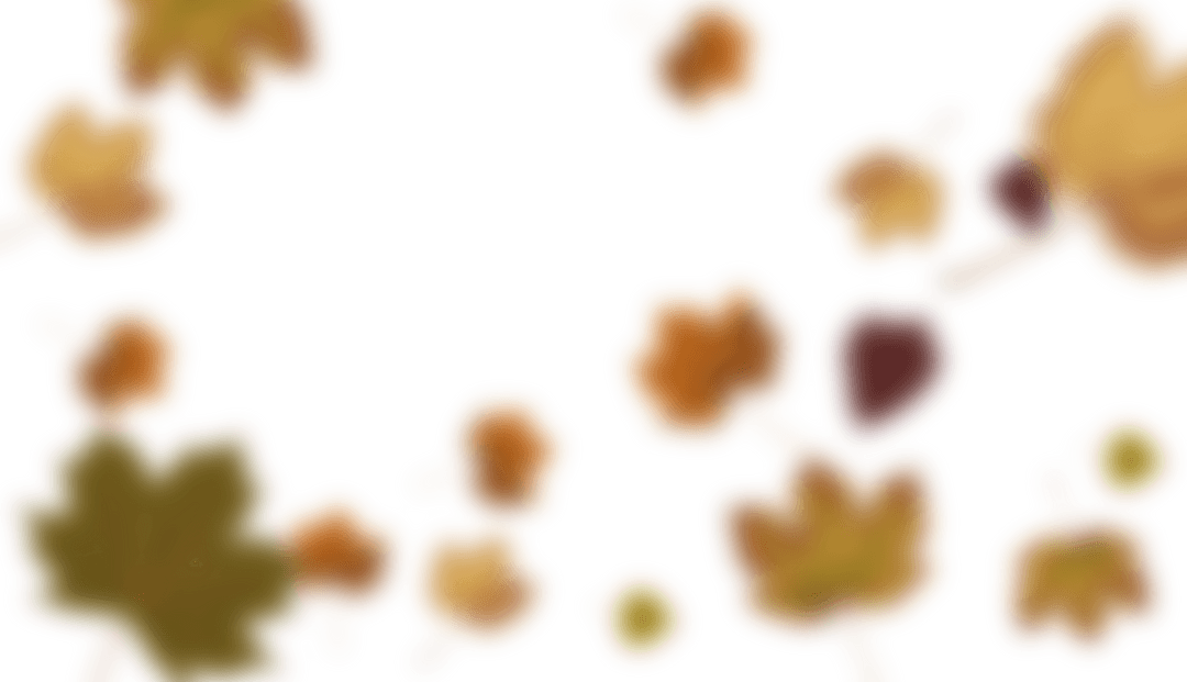 Transparent Blurry Maple Leaves with Warm Autumn Colors