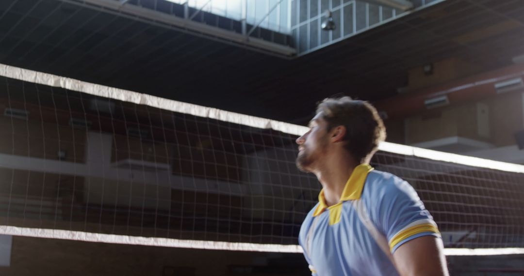 Volleyball Player in Action Under Gym Lights - Free Images, Stock Photos and Pictures on Pikwizard.com