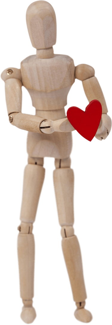 Transparent Wooden Mannequin Figure Holding Red Heart