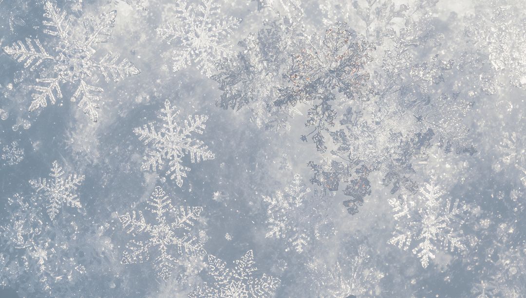 Glittering Snowflakes and Dendritic Ice Crystals Creating Frost Halo on Soft Blue-Gray Surface
