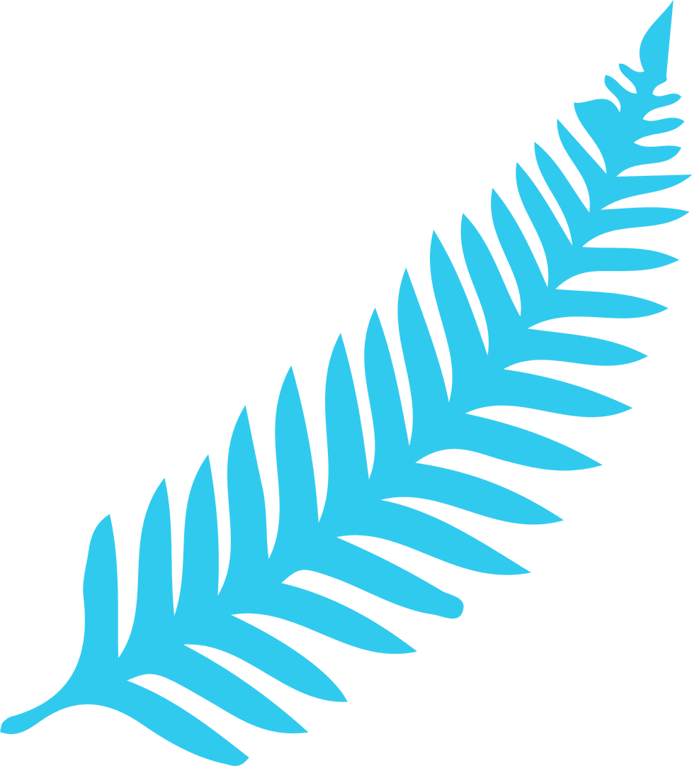 Stylized Turquoise Fern On Transparent Background
