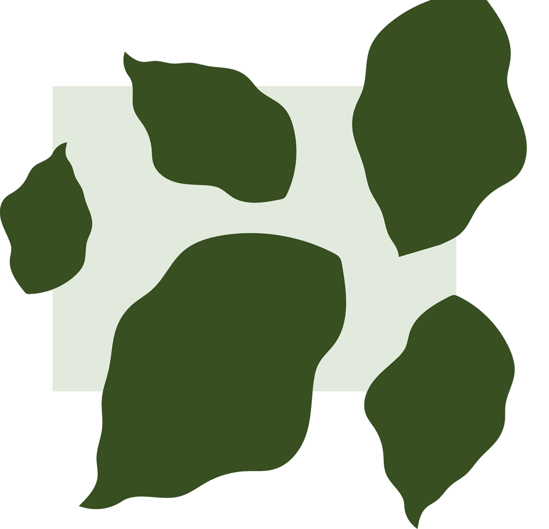 Abstract Leaf Shapes Layering Pale Green Rectangle Transparent Design