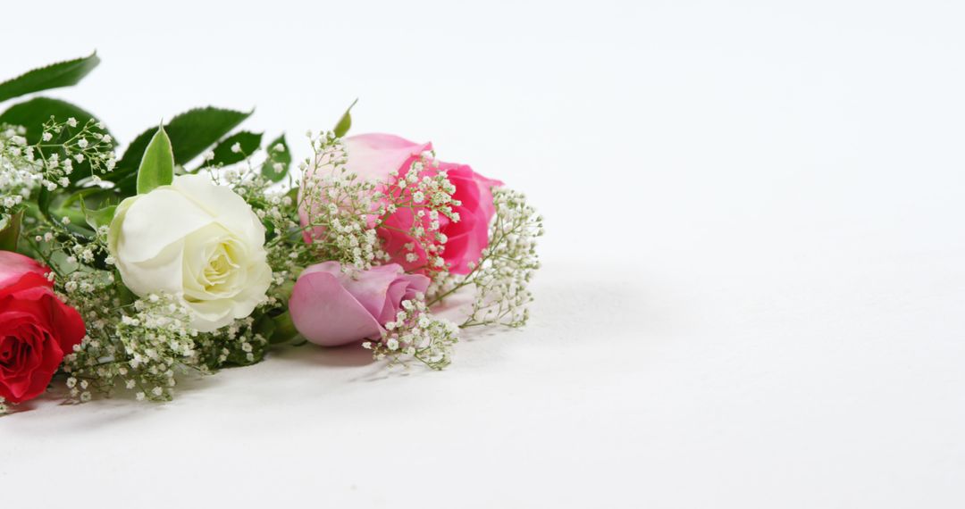 Bouquet of red, white and pink roses on white background - Free Images, Stock Photos and Pictures on Pikwizard.com