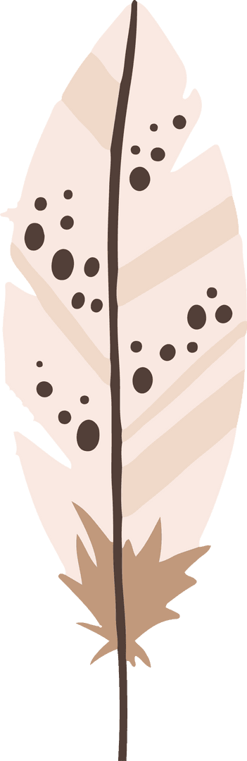 Elegant Vector Feather Illustration on Transparent Background