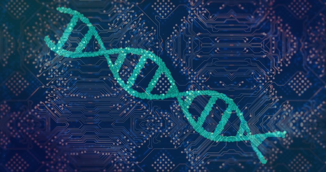 DNA Strand Over Circuit Board Symbolizes Digital Biotechnology