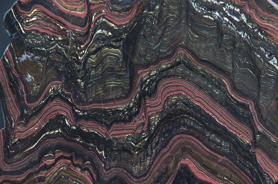 Close-up of Morison Stromatolite Section with Microbial Mats - Free Images, Stock Photos and Pictures on Pikwizard.com