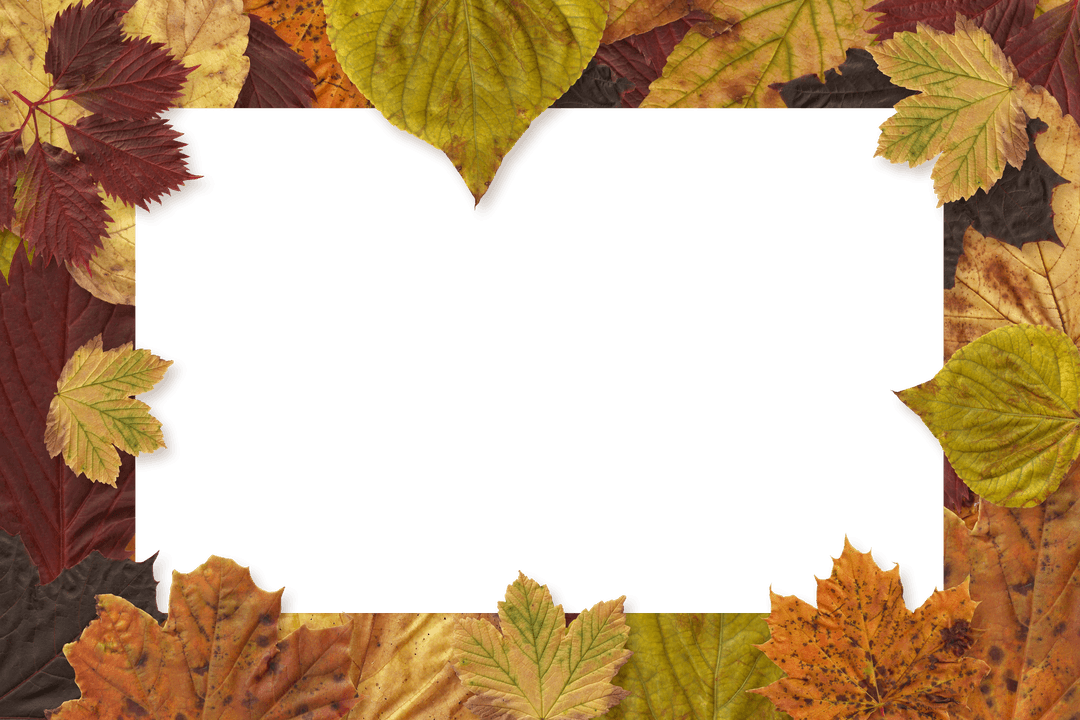 Transparent Frame with Vibrant Autumn Leaves