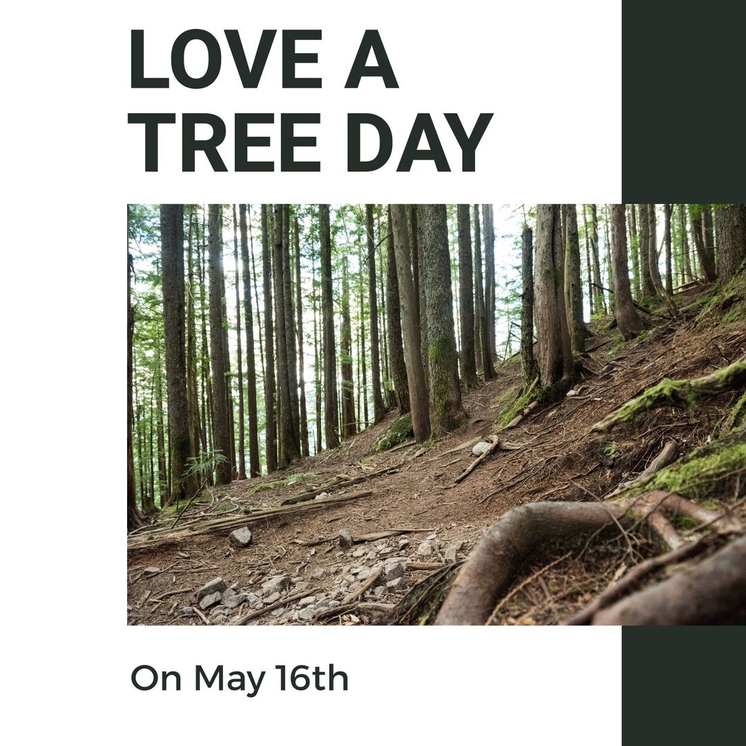 Love a Tree Day Celebration in Forest on May 16th - Download Free Stock Templates Pikwizard.com