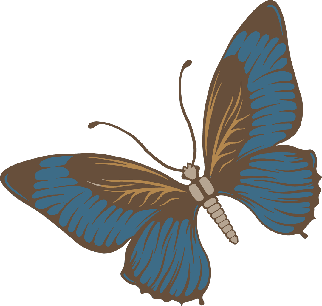 Elegant Blue and Gold Butterfly in Minimalist Vector Style on Transparent