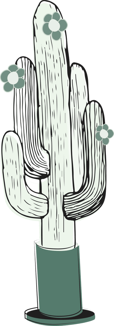 Vintage Cactus Illustration on Transparent Background