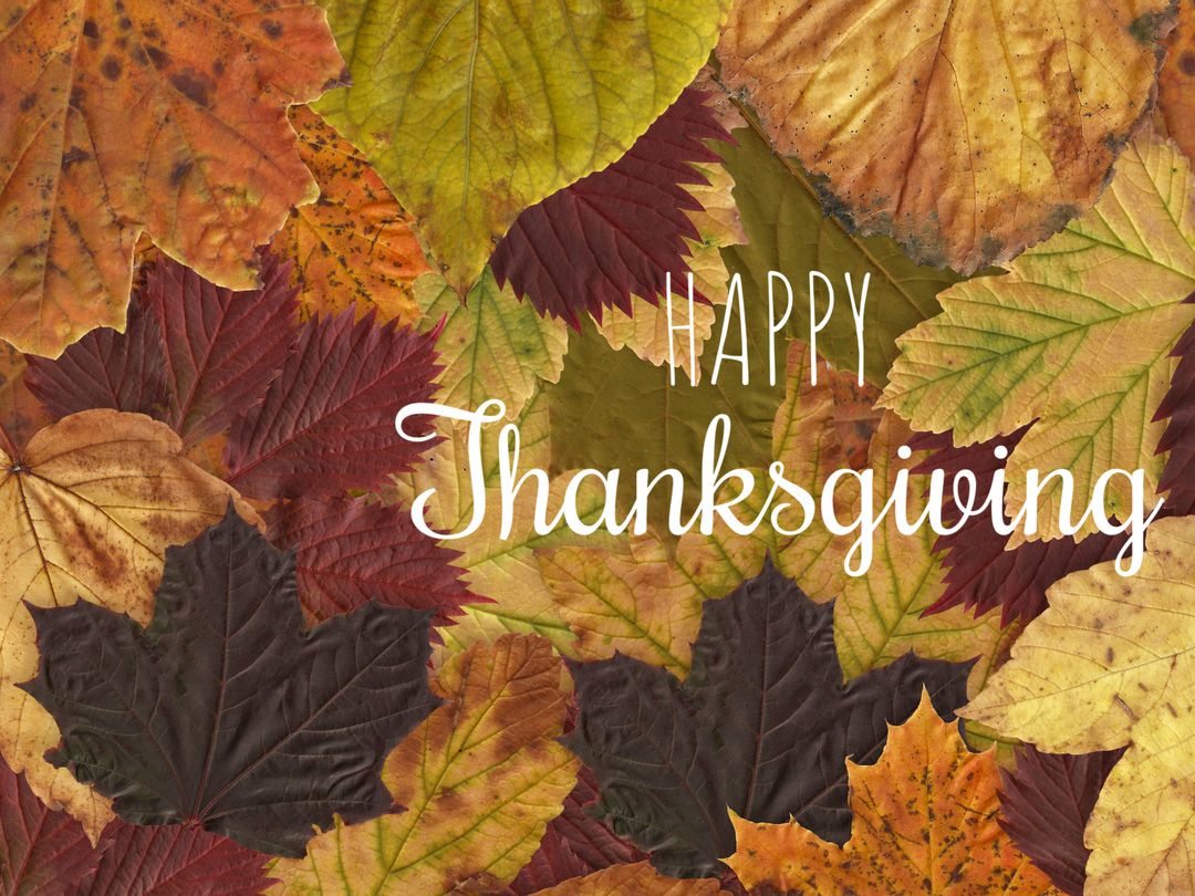 Colorful Autumn Leaves with Happy Thanksgiving Message