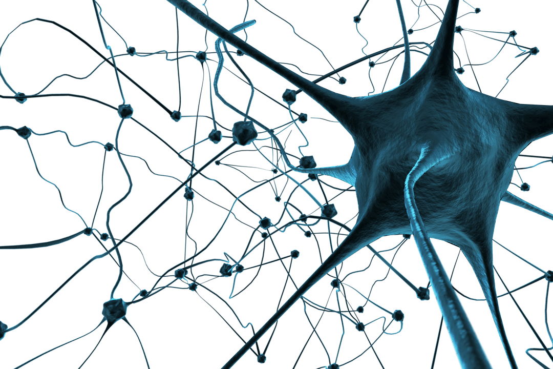 Transparent Neural Network Connections Concept With Plexus - Download Free Stock Images Pikwizard.com