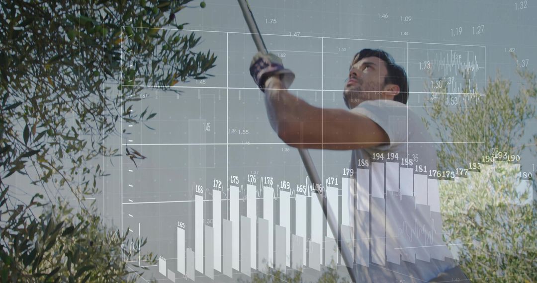 Precision Farming Worker Harvesting Olives with Data Overlay for Sustainable Agriculture