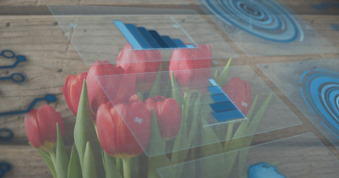 Red Tulips Floating with Translucent HUD Panels and Blue Circuitry Motifs Over Rustic Wood