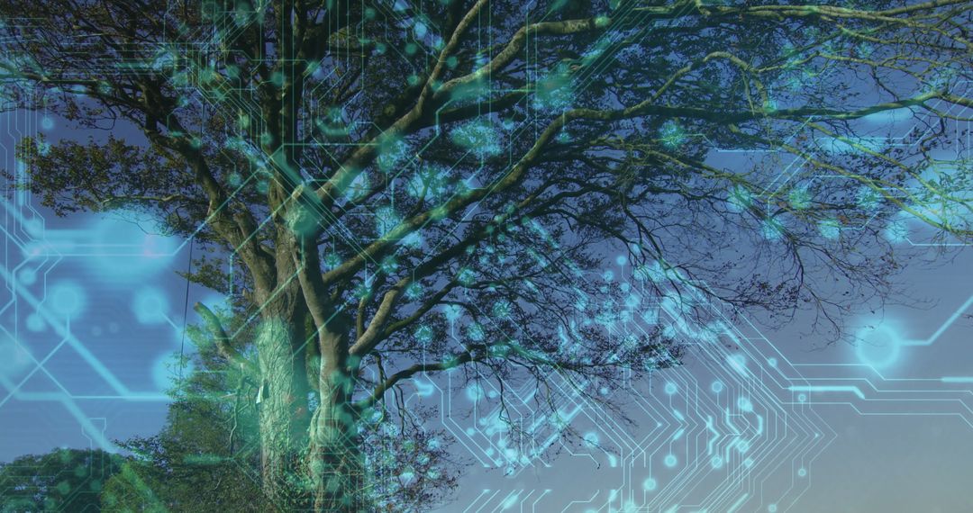 Futuristic Tree with Integrated Digital Circuit Overlays