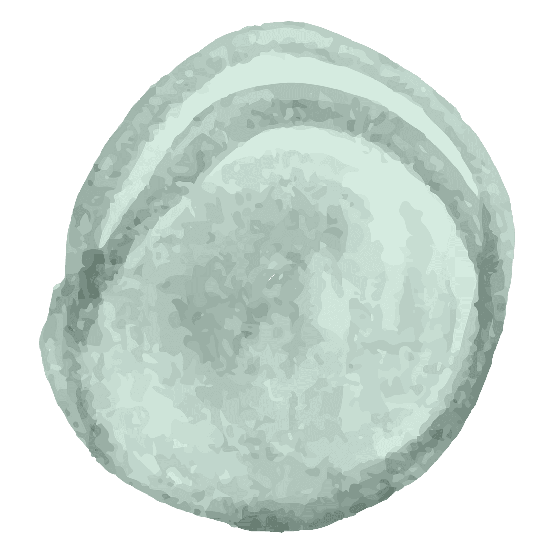 Abstract Green Brushstroke Shape on Transparent Background