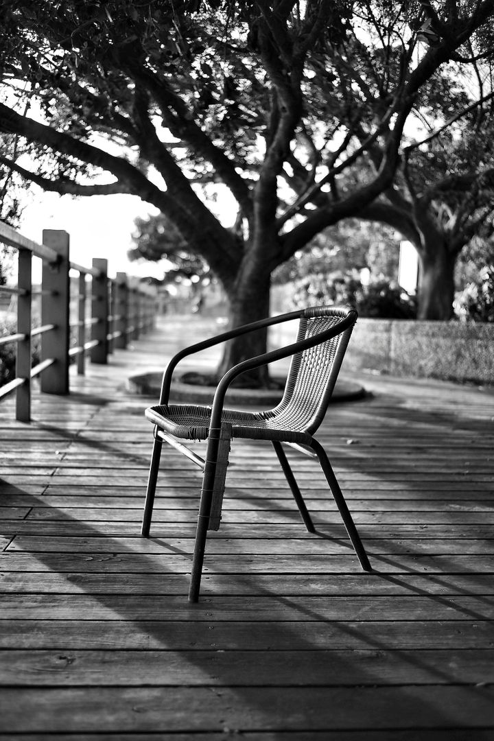 Empty Chair on Wooden Deck under Tree - Free Images, Stock Photos and Pictures on Pikwizard.com