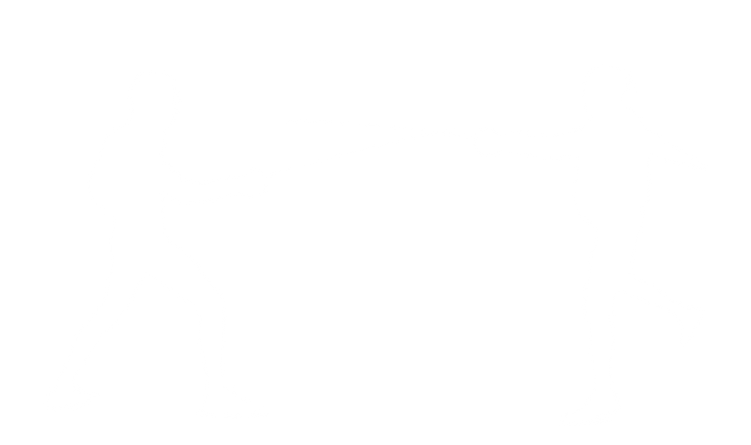 Transparent Silhouette of Fencers on White Background - Download Free Stock Images Pikwizard.com