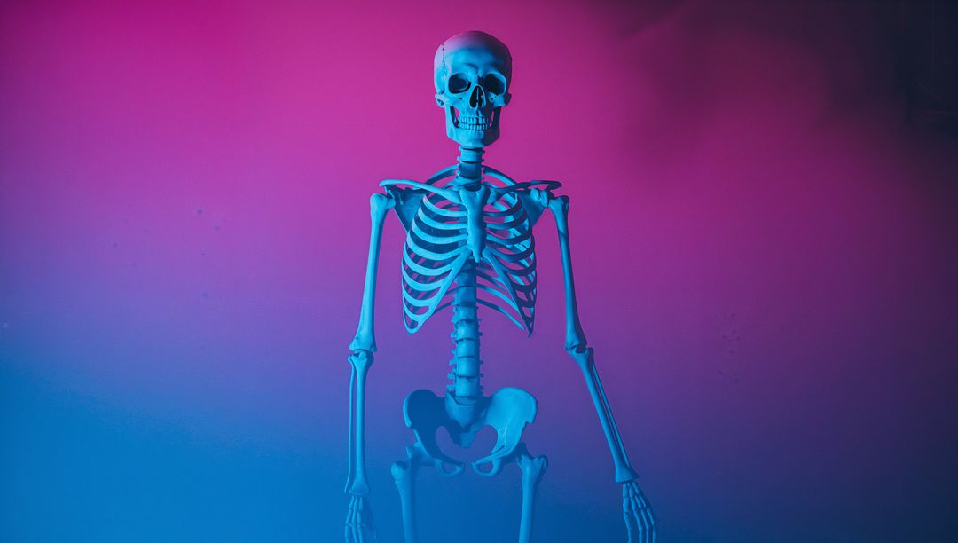 Glowing Skeleton Model on Colorful Gradient with Fog