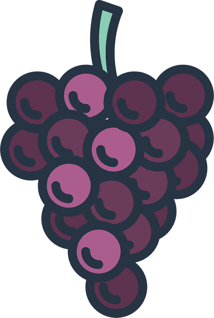 Red Grapes Transparent Illustration Vivid Vector Design