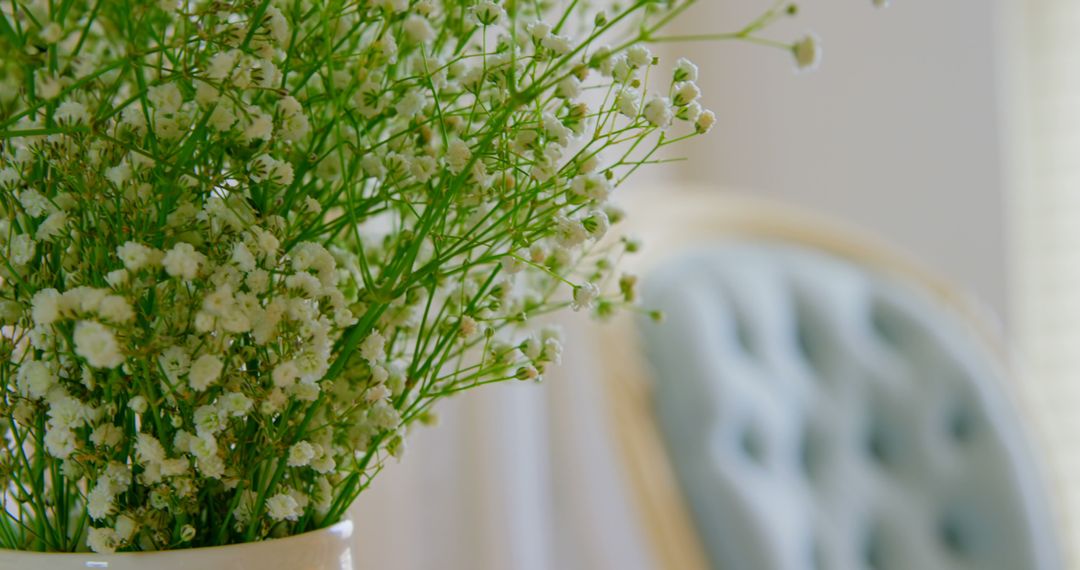 Minimalist Home Decor with Vase of Baby's Breath and Blue Armchair - Free Images, Stock Photos and Pictures on Pikwizard.com