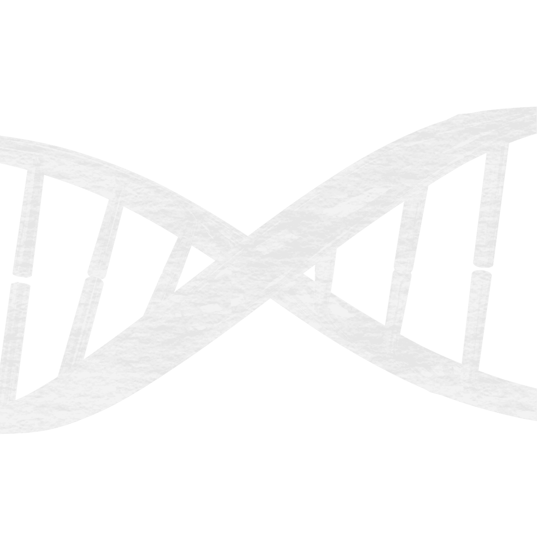 Transparent Precise DNA Helix Structure